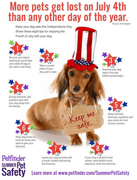 4th of July Pet Safety Tips